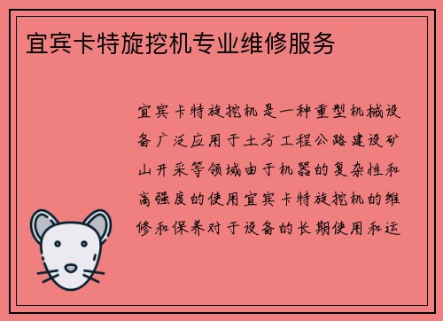 宜宾卡特旋挖机专业维修服务